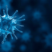 Stem Cell Therapy Eases Crohn’s Disease by Blocking Iron-Driven Cell Death