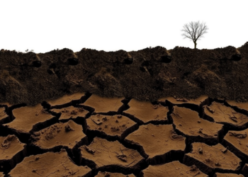 Deep Soil Moisture Loss Intensifies Drought Impacts on Global Ecosystems