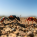 Desert Ants and Beetles Reveal Hidden Heavy Metal Pollution in Industrial Soils