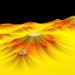 Multifractal Analysis Reveals Natural Soil Chemistry Baselines on the Tibetan Plateau