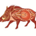 Wild Boar Meat Quality Research Maps Its Path From Genetics to Nutrition