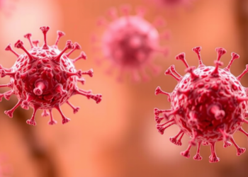 Sugar Signature Reveals Which Tumor-Fighting T Cells Are Most Vulnerable