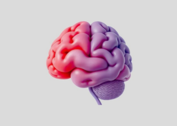 FUNC Score Predicts One-Year Independence After Brain Hemorrhage