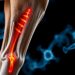 Joint-Specific Genomics Reveals New Genes Behind Debilitating Horse Joint Disease