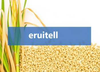 Citric Acid Secreted by Rice Roots Boosts Arsenic Levels in Grain