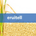 Citric Acid Secreted by Rice Roots Boosts Arsenic Levels in Grain