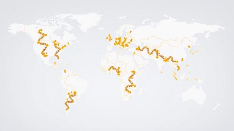 Genomes of Drug-Resistant Poultry E. coli Reveal Global Genetic Connections
