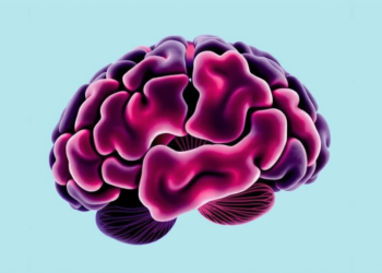 How Patients With Severe Meningitis and Encephalitis Die: New Insights From the EURECA Study