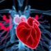 AI Can Spot Heart Disease, But a New Survey Warns Its Dazzling Accuracy May Be Too Good to Be True