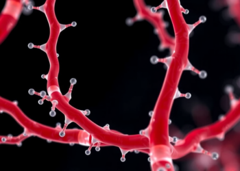 Mimicking Cell Membranes With Tiny Polymers to Regrow Blood Vessels