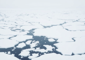 Deep Oceans Diverged as Antarctica Froze Over 34 Million Years Ago
