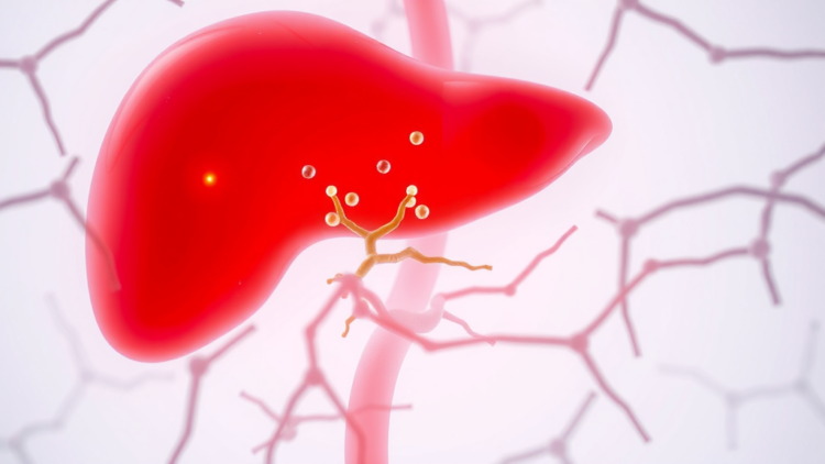 Immunotherapy Reshapes Advanced Liver Cancer Care in Europe, but Access Lags Behind