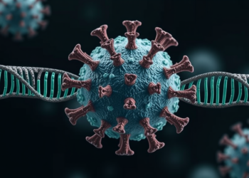 RNA Architecture Drives Coronavirus Subgenomic RNA Synthesis Across Genera