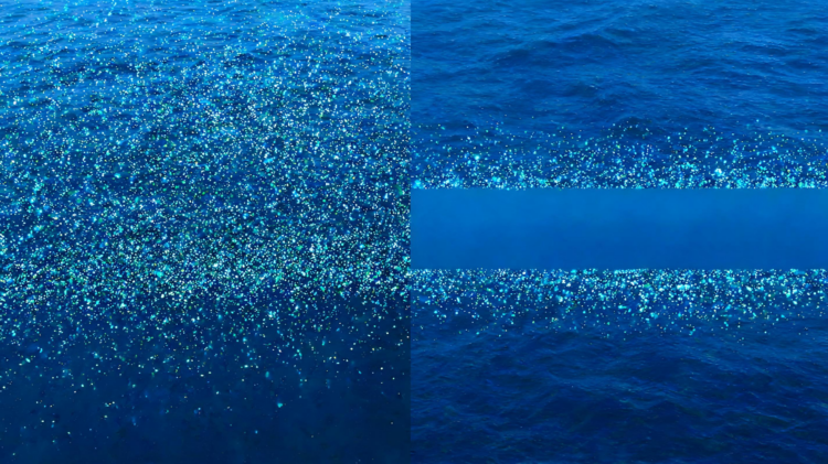 Hidden Sampling Gaps Skew Plankton Models, Study Warns