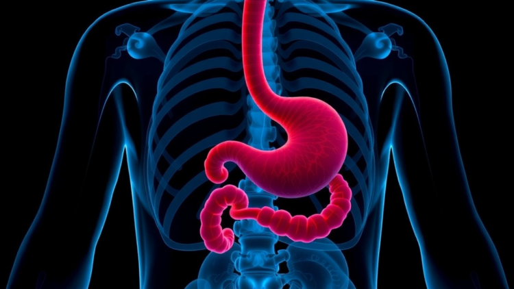 When Crohn’s Stomas Become Permanent: 40-Year Study Tracks Long-Term Outcomes in 422 Patients