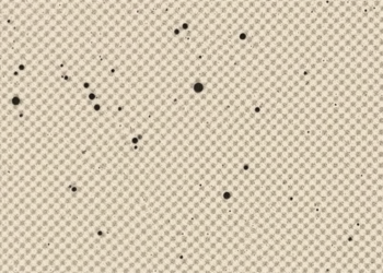 Flax-Fiber Foamed Mortars Turn Waste Rubber and Lightweight Aggregates into Sound-Absorbing Building Materials