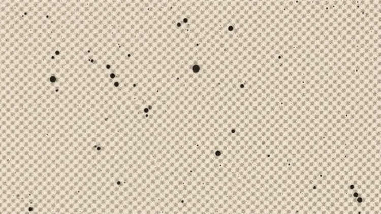 Flax-Fiber Foamed Mortars Turn Waste Rubber and Lightweight Aggregates into Sound-Absorbing Building Materials