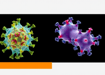 From CAR-T Cells to Cancer Organoids: The Technologies Set to Transform Clinical Oncology