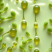 Green Solvents and Ball Mills Team Up to Pull Valuable Lutein from Microalgae