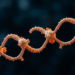 Urea cycle metabolite fuels leukemia growth by switching on a purine-recycling enzyme