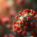 Small Viral C4 Protein Rewires Plant Cells and Triggers Severe Disease Symptoms