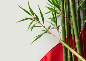 Bamboo Diplomacy: How Vietnam Balances Between the US and China Without Choosing Sides
