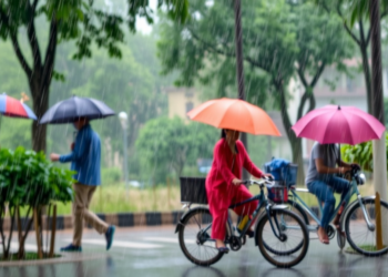 Heavy Rainfall Raises Vector-Borne Disease Risk Across South Asia, Major Review Finds