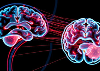 Quantum Meets Privacy: Federated AI Reads Brain Scans Without Sharing Patient Data