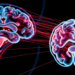 Quantum Meets Privacy: Federated AI Reads Brain Scans Without Sharing Patient Data