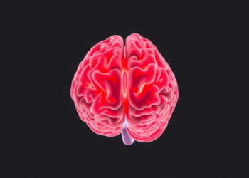 Alzheimer’s disease quietly rewires the bone marrow, study finds