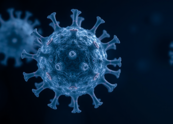 Ocean Survey Uncovers Widespread Marine Staphylococcus Phage That Defines a New Virus Genus