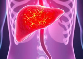 Liver Tumor Ablation Leaves a Fleeting Blood-Surge Window That Could Transform Cancer Therapy