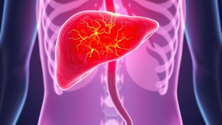 Liver Tumor Ablation Leaves a Fleeting Blood-Surge Window That Could Transform Cancer Therapy