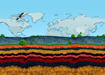 Tracing Dutch Consumption to Global Biodiversity Loss, Layer by Layer