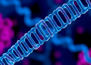 One Tiny RNA, Many Cancers: Meta-Analysis Confirms miR-221 as a Pan-Cancer Killer Signal