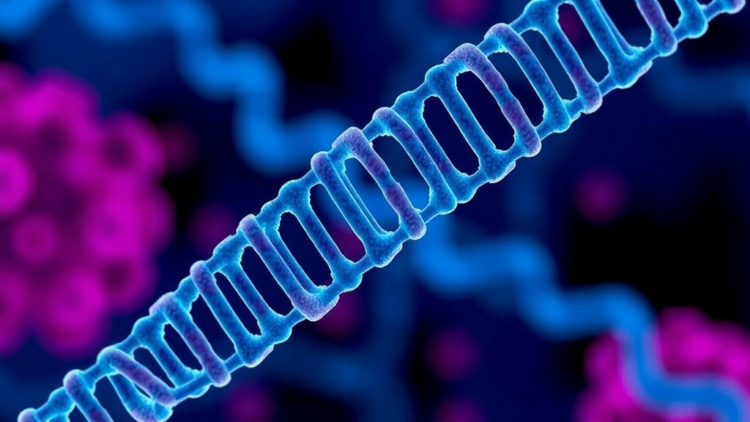 One Tiny RNA, Many Cancers: Meta-Analysis Confirms miR-221 as a Pan-Cancer Killer Signal