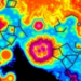Radiomics Gives Doctors a Whole-Tumor Map Where Biopsies Only See a Point