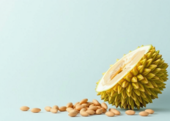 Durian Seeds Could Become an Unexpected New Source of Pectin, Review Finds