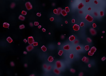Novel ALAS2 Mutation Unmasked as Hidden Cause of Severe Macrocytic Anemia in Teenage Girl