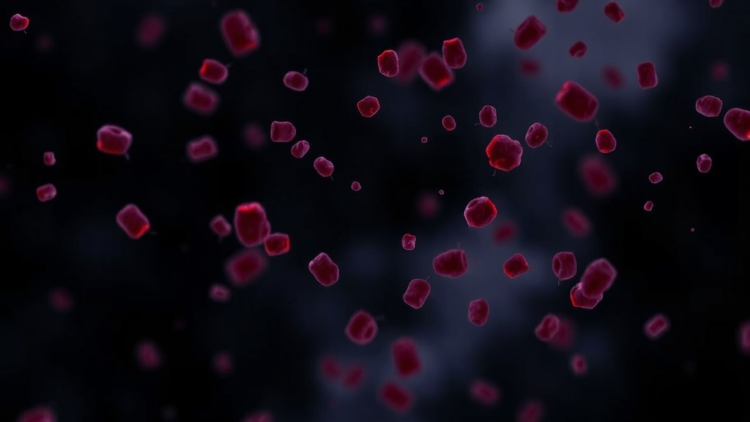 Novel ALAS2 Mutation Unmasked as Hidden Cause of Severe Macrocytic Anemia in Teenage Girl