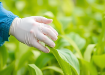 Scientists Map the Hidden Gene Family That Helps Soybean Survive Salt, Cadmium, Manganese and Selenium Stress