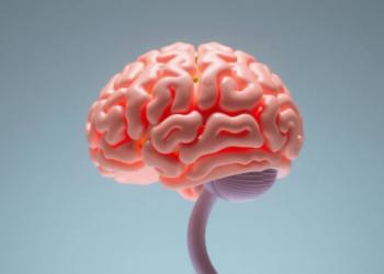 Cellular Recycling in the Brain’s Appetite Center May Shape Obesity Risk
