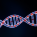 Tiny RNA Fragment Emerges as Hidden Driver of Osteoarthritis Progression