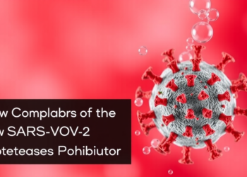 Virtual Screen of 69,000 Natural Compounds Yields New SARS-CoV-2 Protease Inhibitor