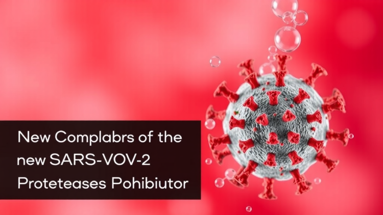 Virtual Screen of 69,000 Natural Compounds Yields New SARS-CoV-2 Protease Inhibitor