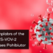 Virtual Screen of 69,000 Natural Compounds Yields New SARS-CoV-2 Protease Inhibitor