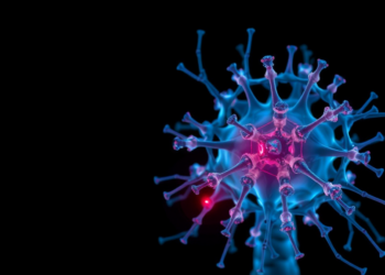 Rapamycin Nanoparticles Rejuvenate Aging Spine Discs by Silencing a Cellular Aging Switch