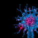 Rapamycin Nanoparticles Rejuvenate Aging Spine Discs by Silencing a Cellular Aging Switch