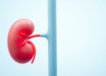 New Risk Model Predicts Kidney Disease Years Before It Strikes People With Prediabetes