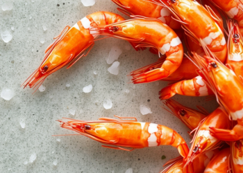 Saltier Water Shields Estuarine Shrimp From Deadly Copper Pollution, Study Finds